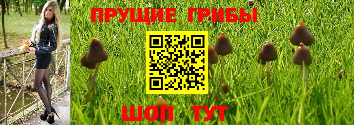 Галлюциногенные грибы GOLDEN TEACHER Ачинск